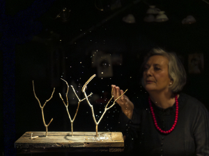 Skrinjica sinjega maka, foto: Bo&scaron;tjan Lah