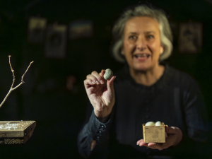 Skrinjica sinjega maka, foto: Bo&scaron;tjan Lah